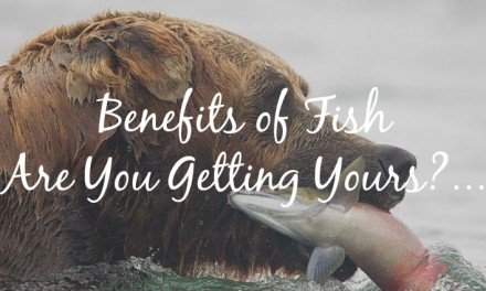 The Life-Giving Benefits of Fish…It Started With the Eskimos