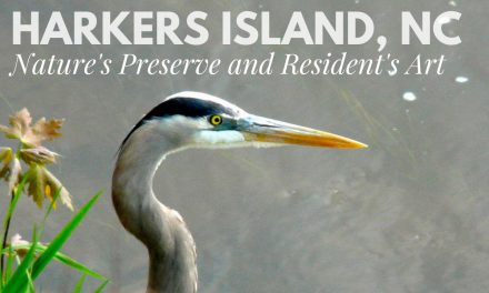 Ducking the Island: Art and Nature on Harkers Island, NC