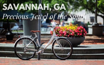 Savannah in the Fall