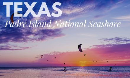 5 Epic Things to do at Padre Island National Seashore