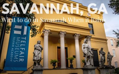 What To Do in Savannah When It Rains: Or, Savannah Museums and Nature Centers