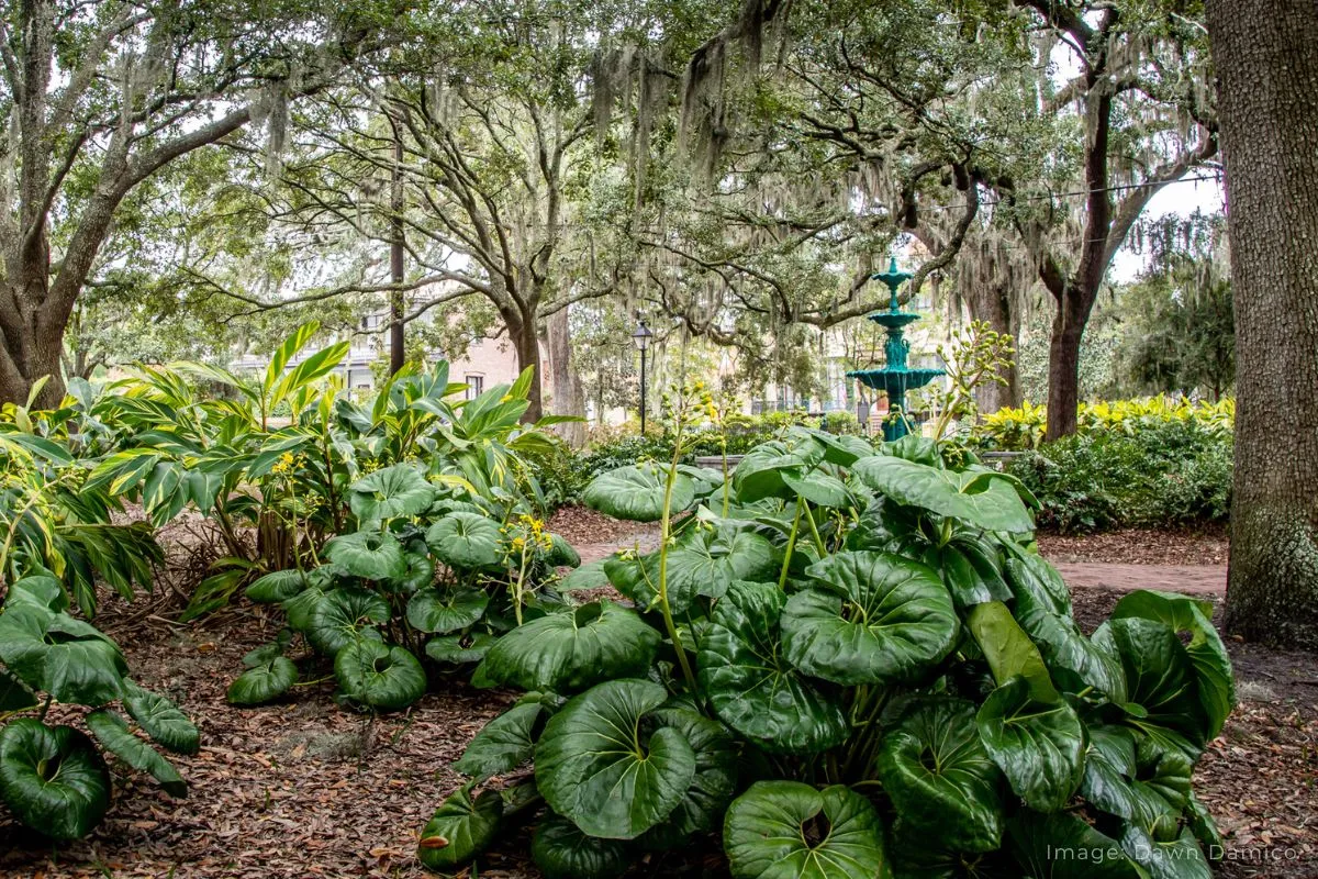 Savannah GA-park historic home with columns at entrance-Savannah Travel Destination Guide